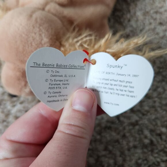Ty Beanie Baby Bundle - Dogs Spunky, Dotty, Pugsly, Spot, Nanook, Bruno … - Picture 3 of 16